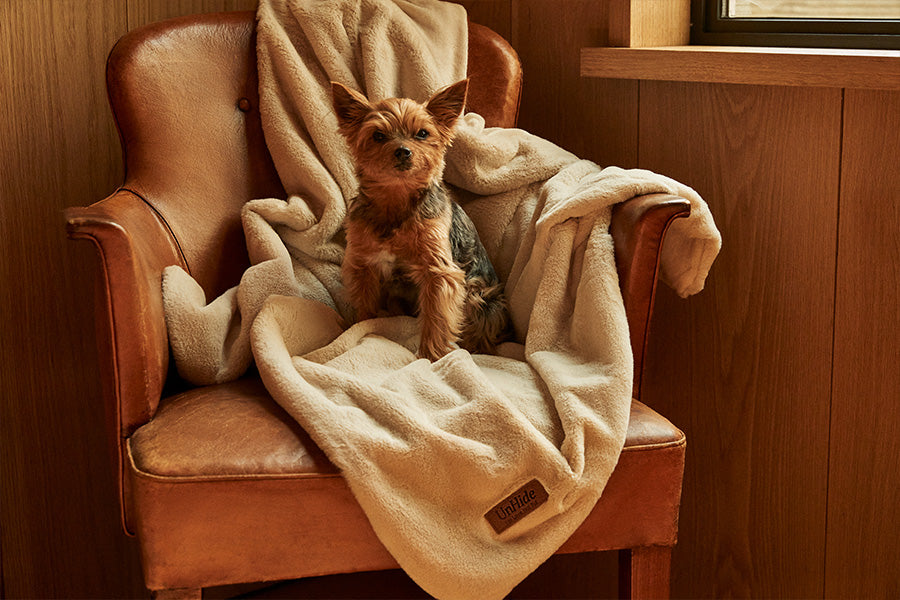 UnHide - Floof Donut Pet Bed Learn More About Our Mission