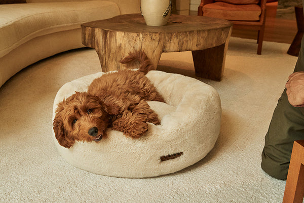 UnHide - Floof Donut Pet Bed - Provides the Best Sleep