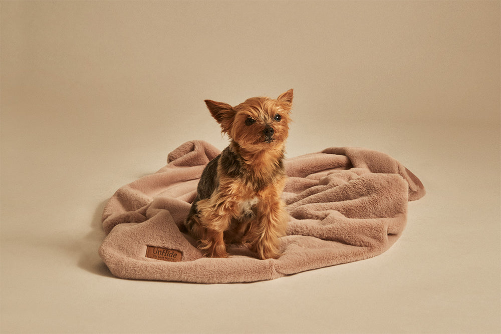UnHide - Lil' Marsh Pet Blanket Learn More About Our Mission