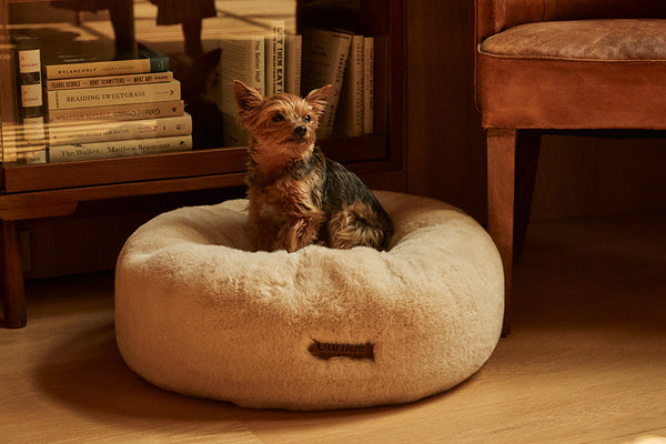 UnHide - Floof Donut Pet Bed - Eases Anxiety