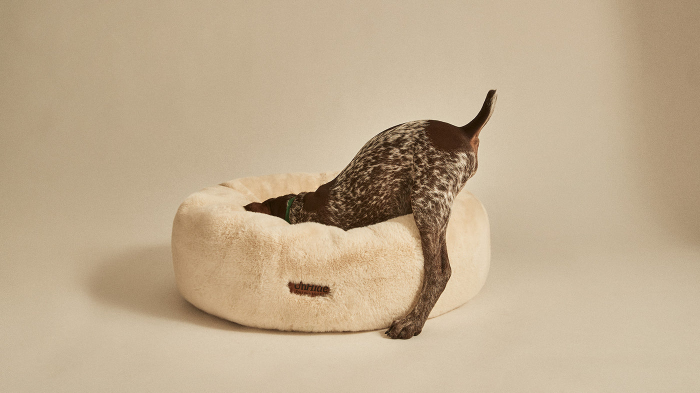 UnHide - Floof Donut Pet Bed