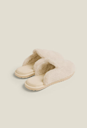 Beige Bear / 8M 10W