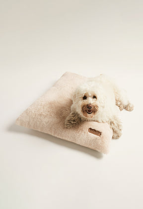 Beige Bear / Large