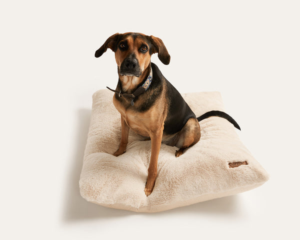 UnHide - Floof Pillow Pet Bed - Easy to Clean