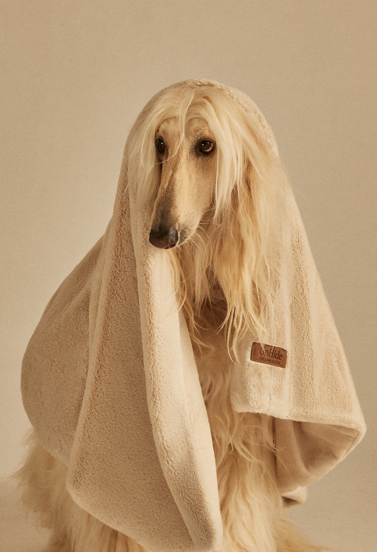 Lil' Marsh Pet Blanket UnHide