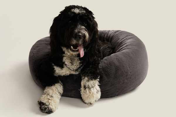 UnHide - Floof Donut Bed Cover - Laundry Day, Solved
