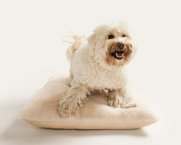 UnHide - Floof Pillow Pet Bed - From Floor, to Couch, to Car