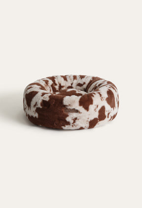 Cow / Medium