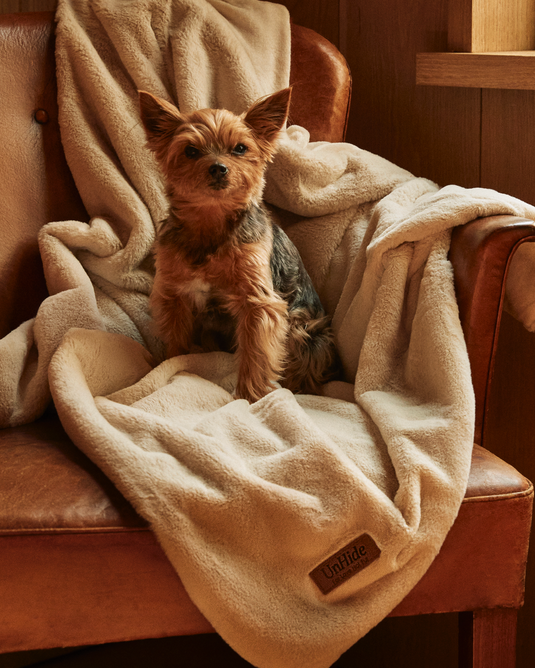 Unhide faux fur blanket hotsell