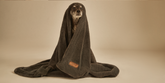 Marshmallow Blanket | UnHide