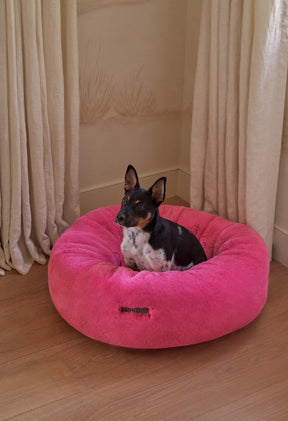 Hot Pink / Medium