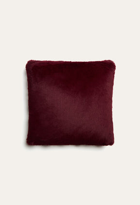 Burgundy Beau / Standard