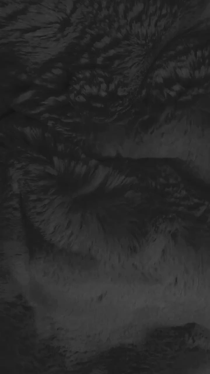 Night Owl / Large 60" x 80"